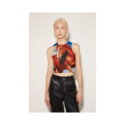 MUSCULOSA HORSE