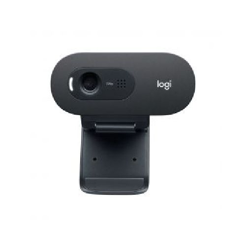 Cámara Web HD Logitech C505 / 1363 Negro