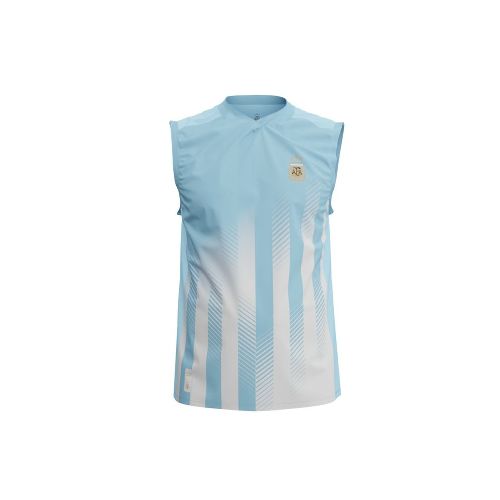 Musculosa De Entrenamiento Estadios 24 AFA - Talle L - Pardo - Ofertas en Electrodomésticos, Smart TV y Muebles