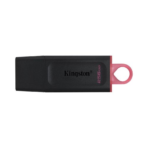 Pen Drive 256 Gb Kingston DTX Exodia