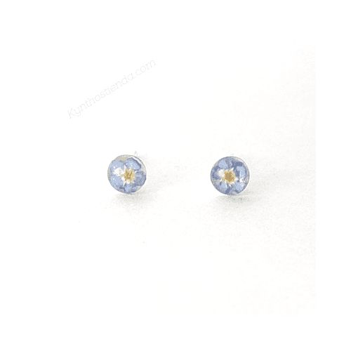 Aros 6 mm “Colección Nomeolvides” – Plata 925