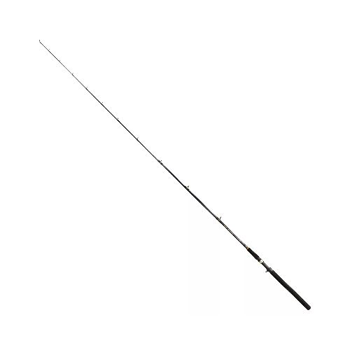 Caña 1.98m RC 1225 2T 12-25lb Baitcast - Spinit  