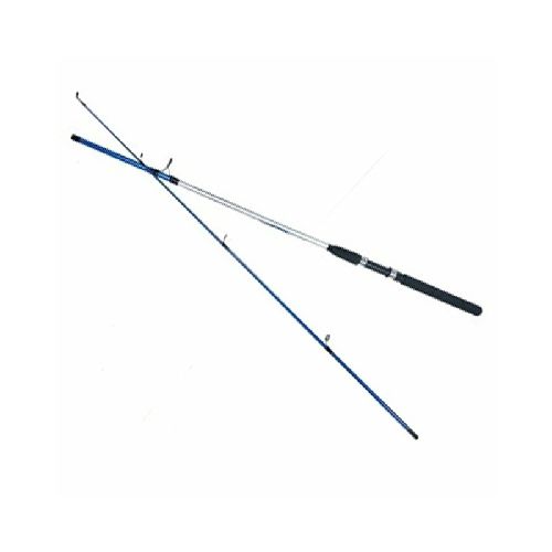 CAÑA MASTERGUIL BLUE FISH 2 TRAMOS 3 mts