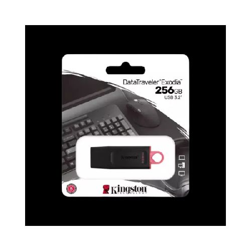 PENDRIVE 256GB KINGSTON USB 3.2 DTX  