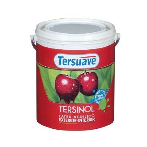 Pintura Para Exterior Interior Látex Acrílico Tersinol 4 L