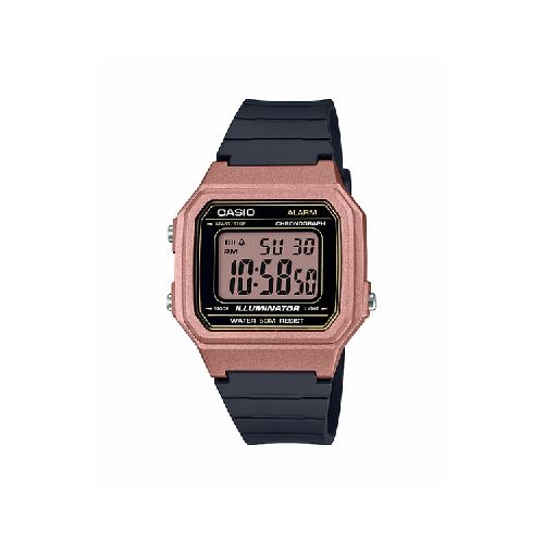 RELOJ CASIO W-217HM-5A  