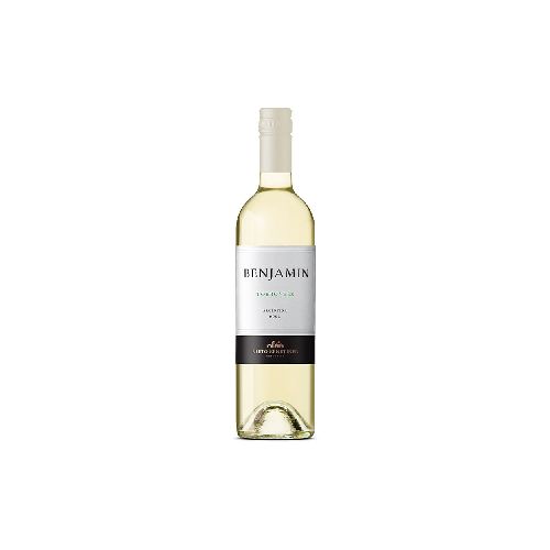 vino BENJAMIN torrontés 750ml - Jumbo Argentina | Aprovechá las Ofertas I Supermercado Online