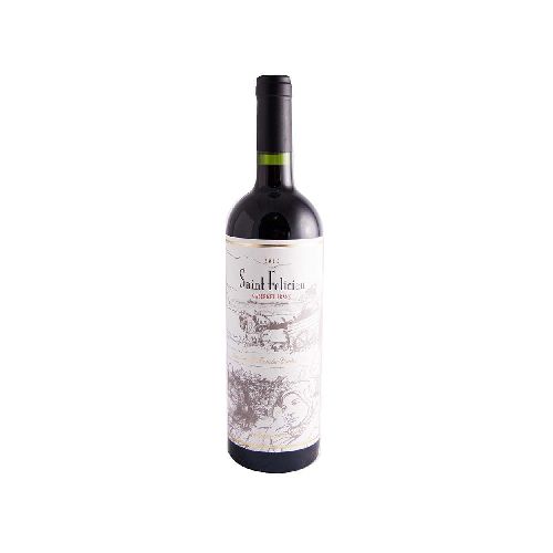 Vino Tinto Saint Felicien Cabernet Franc 750 Cc - Jumbo Argentina | Aprovechá las Ofertas I Supermercado Online