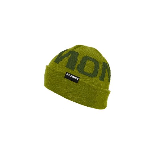 Gorro Salomon Higlander Beanie U Unisex - Newsport