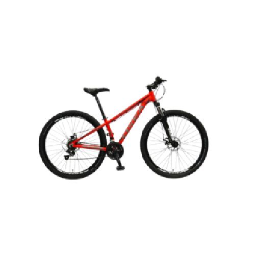 BICICLETA OXEA RIDDICH