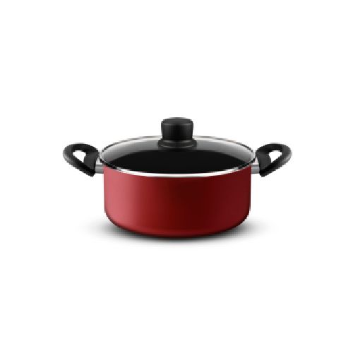 TEFAL RED SURPRISE OLLA 24 CM CON ASAS Y TAPA VIDRIO (9100047974)