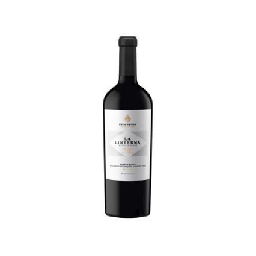 Bemberg La Linterna Malbec Chañares Chañar 750