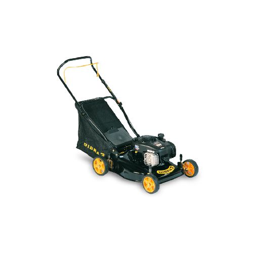 Cortadora De Césped Naftera Briggs & Stratton | MAQPRO