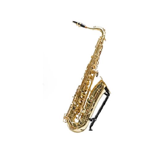 PARQUER Saxo Tenor PSTD Saxo Tenor Custom - $ 1.015.827 - Hoffmann Instrumentos Musicales