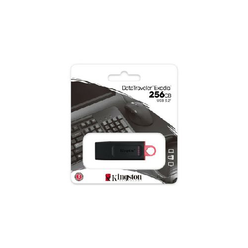 Pendrive Kingston 256Gb Usb 3.2 Dtx  