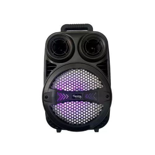 Parlante Portátil Harrison Inalámbrico Acid X 250w Luz Led B  