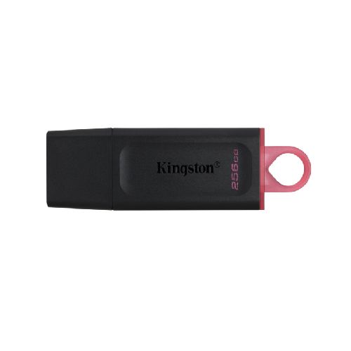 PENDRIVE KINGSTON DTX 256GB USB 3.2 DATA TRAVELER EXODIA