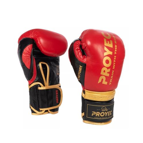 Guantes De Boxeo Proyec Victory