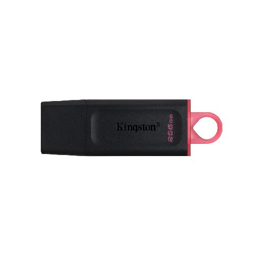 Pen Drive KINGSTON 256 GB USB 3.2 DTX | Rivera Hogar