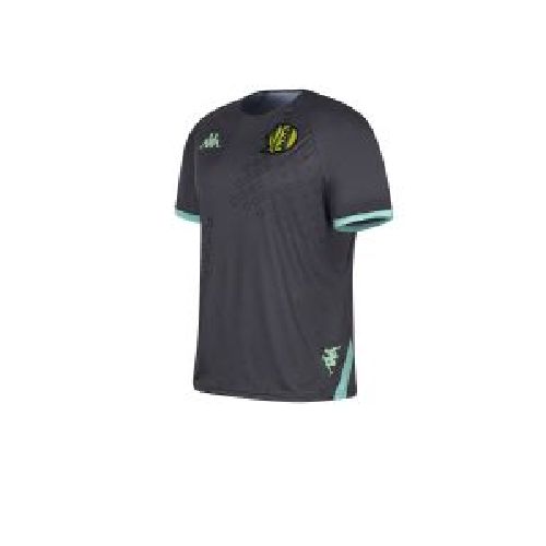 Remera De Aldosivi Kappa Pre Match Gris