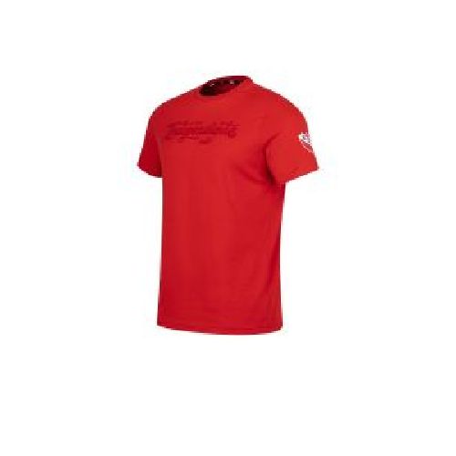 Remera De Independiente Puma Ftblicons Roja