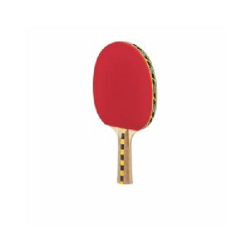 Paleta Ping Pong Stiga Caldera 2 Estrellas