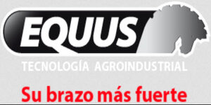 Equus