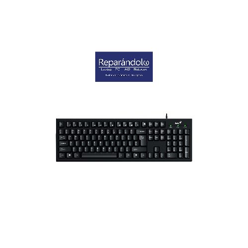 TECLADO GENIUS Smart KB-100 USB SP Negro  