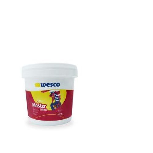 PINTURA MASTER LATEX BLANCO GALON WESCO